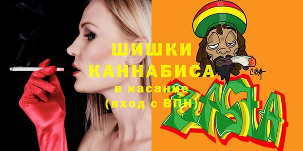 сатива Вяземский
