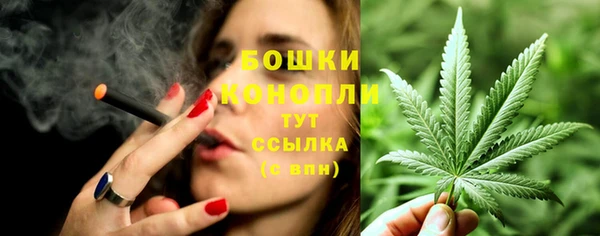 сатива Вяземский
