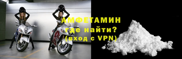 сатива Вяземский