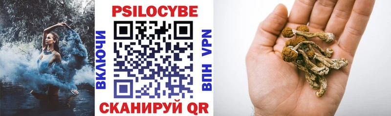 hydra   Переславль-Залесский  Псилоцибиновые грибы мицелий 